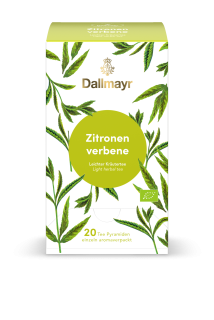 Verbena citronová - pyramidový